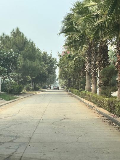 Omaxe Phase 3 Mullanpur Main Image 1