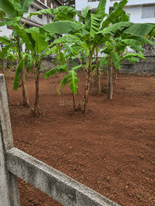 Image of 1960 Sq.ft Residential Plot / Land for sale in Kottappuram, Thrissur for Rs. 6750000