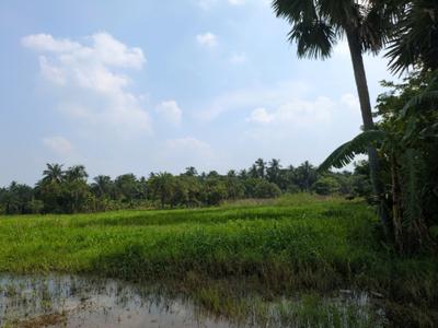 Image of 3600 Sq.ft Residential Plot / Land for sale in Natures Paradise, Joka, Kolkata for Rs. 999999