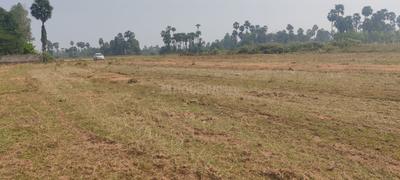 Swati Township sabbavaram More Images 3