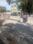 Malleswaram Main Image 1