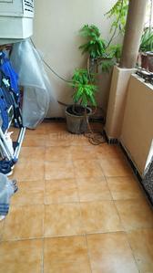 Balcony Image of 1560 Sq.ft 3 BHK Apartment / Flat for sale in Express Garden, Indirapuram Ghaziabad for Rs. 17200000