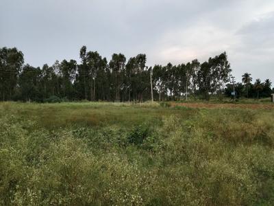 Image of 12000 Sq.ft Residential Plot / Land for sale in Gottamaranahalli, Bengaluru for Rs. 28000000