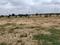 Nature view city Plot View 2