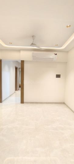 Pardis Shingadia Main Image 1