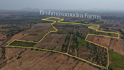 Image of 10000 Sq.ft Residential Plot / Land for sale in Anantapura, Bengaluru for Rs. 3000000