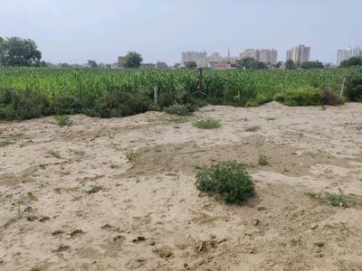Image of 540 Sq.ft Residential Plot / Land for sale in Bamheta Village, Ghaziabad for Rs. 2520001