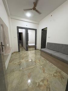 Hall Image of 800 Sq.ft 1 RK Apartment / Flat for rent in Vijay Nagar Indore for Rs. 16000
