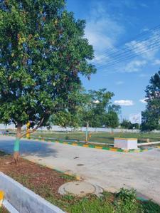Image of 2400 Sq.ft Residential Plot / Land for sale in Robertsonpet, Kolar for Rs. 3800000