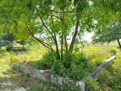 Image of 100 Sq.ft Residential Plot / Land for sale in Bhanauta, Greater Noida for Rs. 3511300