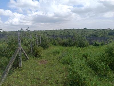 Residential Plot