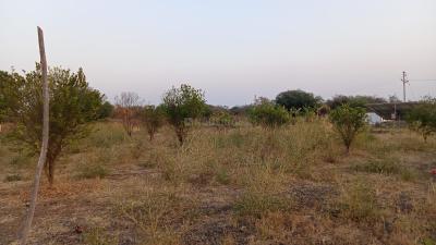 Umred Plot View 2