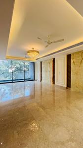 Hall Image of 2450 Sq.ft 4 BHK Builder Floor for sale in Sector 56 Gurgaon for Rs. 27500000