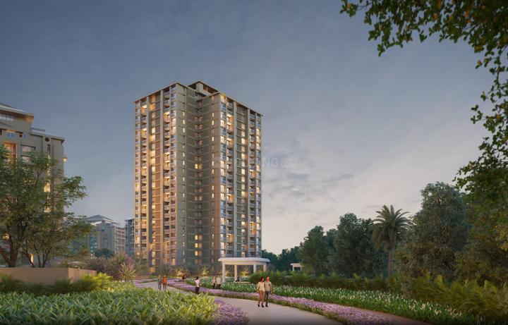 Skyi Songbirds Main Image 1