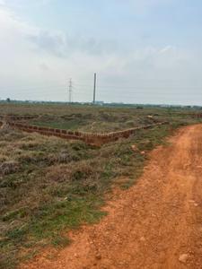 Patrapoda Plot View 2