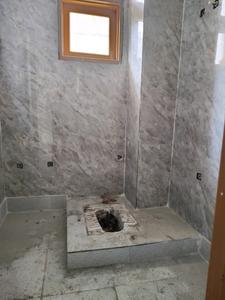 Common Bathroom Image of 650 Sq.ft 2 BHK Apartment / Flat for sale in Sangam Vihar New Delhi for Rs. 4100000