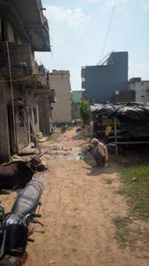 Image of 817 Sq.ft Residential Plot / Land for sale in Danapur, Patna for Rs. 5250000