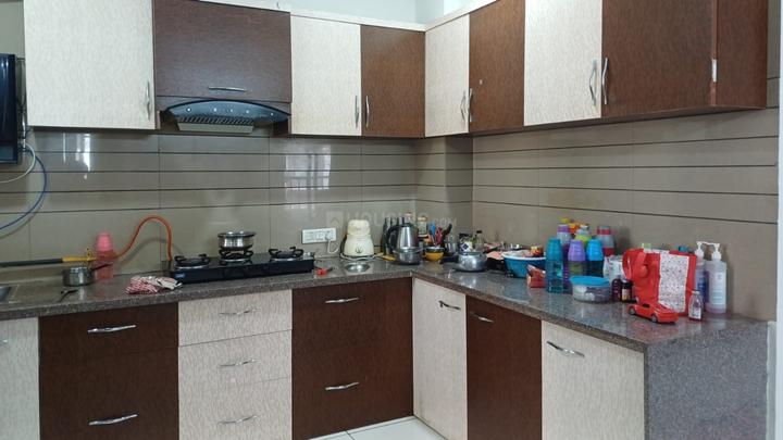 Orchid Sky Main Image 1