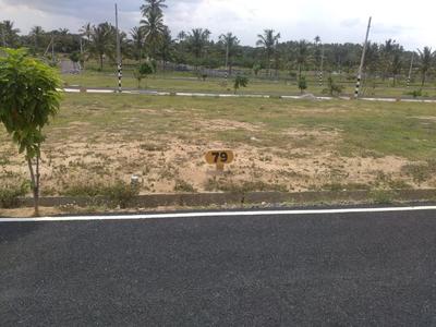 Thavarekere Plot View 1