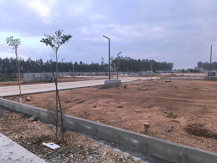 Sidvin Serenity Main Image 1