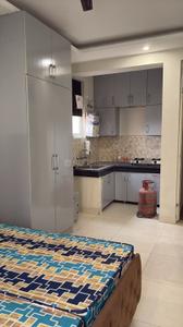 Bedroom Image of 780 Sq.ft 1 RK Apartment / Flat for rent in SBP Homes Gardenia, Sector 126 Mohali for Rs. 14000