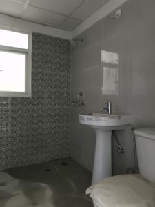 Common Bathroom One Image of 975 Sq.ft 2 BHK Apartment / Flat for sale in Amrapali Verona Heights, Noida Extension Greater Noida for Rs. 7545000
