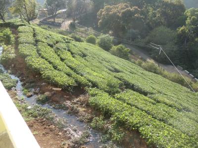 Balcony Image of 17440 Sq.ft Residential Plot / Land for sale in Coonoor Nilgiris for Rs. 32000000