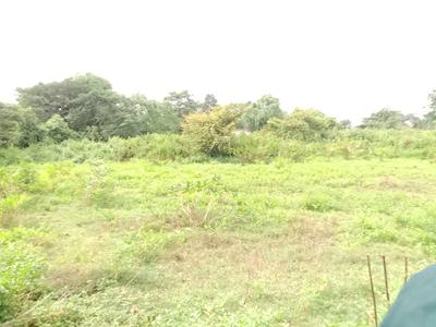 Image of 87686 Sq.ft Residential Plot / Land for sale in Uttara, Bhubaneswar for Rs. 170000000