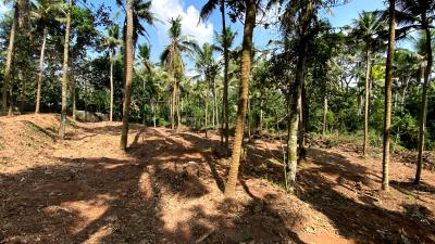 Image of 3000 Sq.ft Residential Plot / Land for sale in Sreekariyam, Thiruvananthapuram for Rs. 4500000