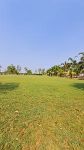 Image of 800 Sq.ft Residential Plot / Land for sale in Wallfort Parkview, Datrenga, Raipur for Rs. 1440000