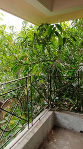 Image of 1150 Sq.ft 3 BHK Apartment / Flat for sale in Haltu, Kolkata for Rs. 4500000