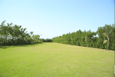Image of 372 Sq.ft Residential Plot / Land for sale in Lothal, Ahmedabad for Rs. 3720000