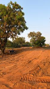 Image of 321 Sq.ft Residential Plot / Land for sale in Insuli, Sindhudurg for Rs. 12707940