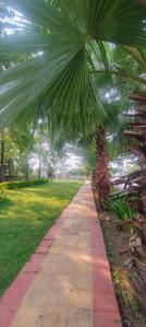 Image of 800 Sq.ft Residential Plot / Land for sale in Bhilai Marshalling Yard, Charoda for Rs. 1360000