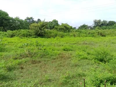 Image of 87686 Sq.ft Residential Plot / Land for sale in Uttara, Bhubaneswar for Rs. 170000000