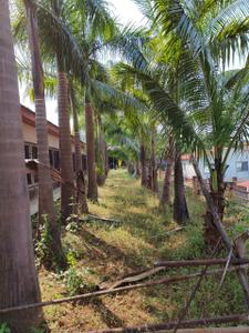 Image of 3918 Sq.ft Residential Plot / Land for sale in Neral, Thane for Rs. 3130450