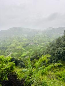 Image of 720 Sq.ft Residential Plot / Land for sale in Mukteshwar, Nainital for Rs. 7250000
