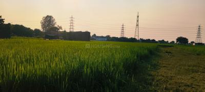 Image of 2720 Sq.ft Residential Plot / Land for sale in Kandwa, Varanasi for Rs. 3600000
