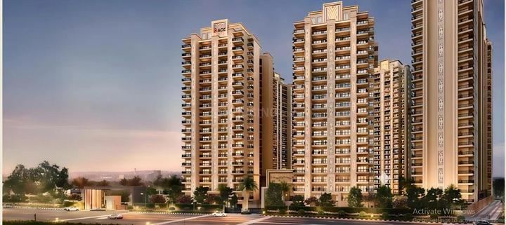 ACE Verde Main Image 1