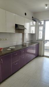 Kitchen Image of 1740 Sq.ft 3 BHK Apartment / Flat for sale in DLF Regal Gardens, Sector 90 Gurgaon for Rs. 20000000