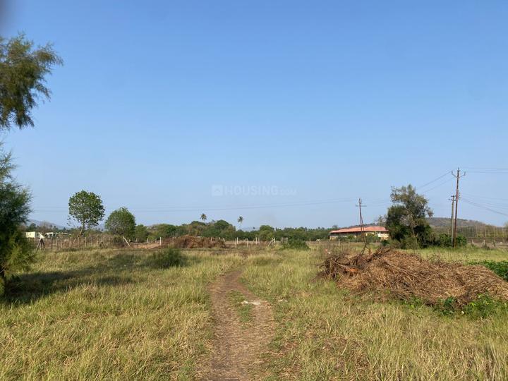Nagaon Main Image 1
