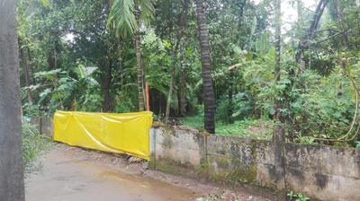 Residential Plot