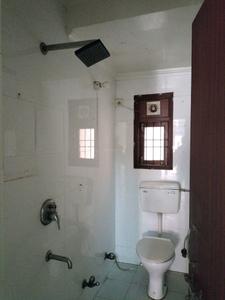 Common Bathroom Image of 950 Sq.ft 2 BHK Apartment / Flat for rent in Pink Apartments, Sector 18 Dwarka New Delhi for Rs. 29000