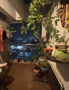 Balcony Image of 930 Sq.ft 2 BHK Apartment / Flat for sale in Krisala 41 Elite , Tathawade Pune for Rs. 8000000