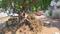 Nagabhavi 9th block Plot View 2