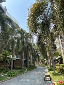 Image of 1849 Sq.ft 3 BHK Apartment / Flat for sale in Kent Oakville Apartment, Edappally, Kochi for Rs. 18500000