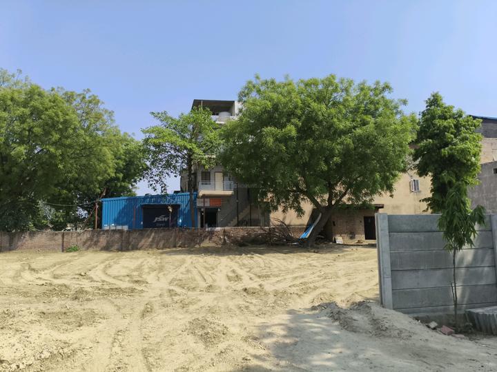 Dharvi Green Main Image 1