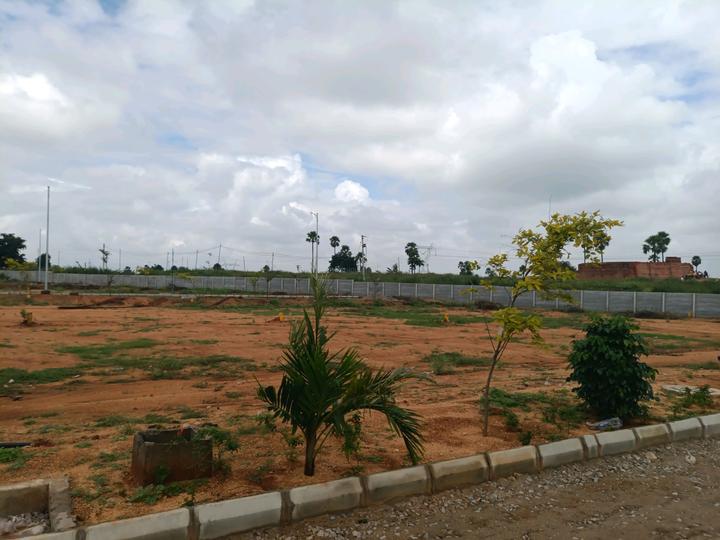 JB Serene County Main Image 1