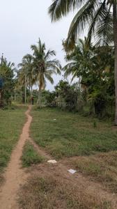 Image of 2641 Sq.ft Residential Plot / Land for sale in Elappully-II, Palakkad for Rs. 500000