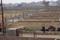 Madhav Greens Plots Main Image 1